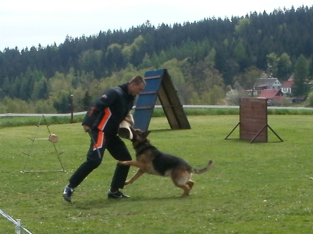 v36.jpg