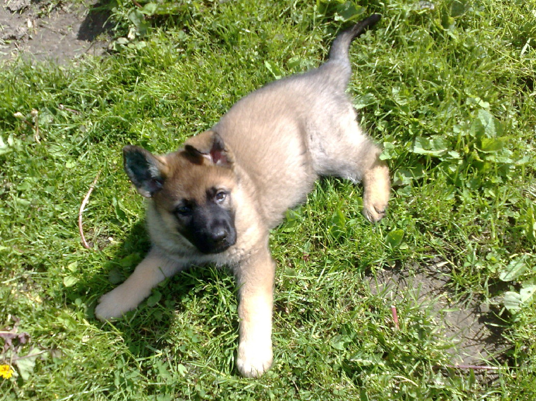 04062010595.jpg