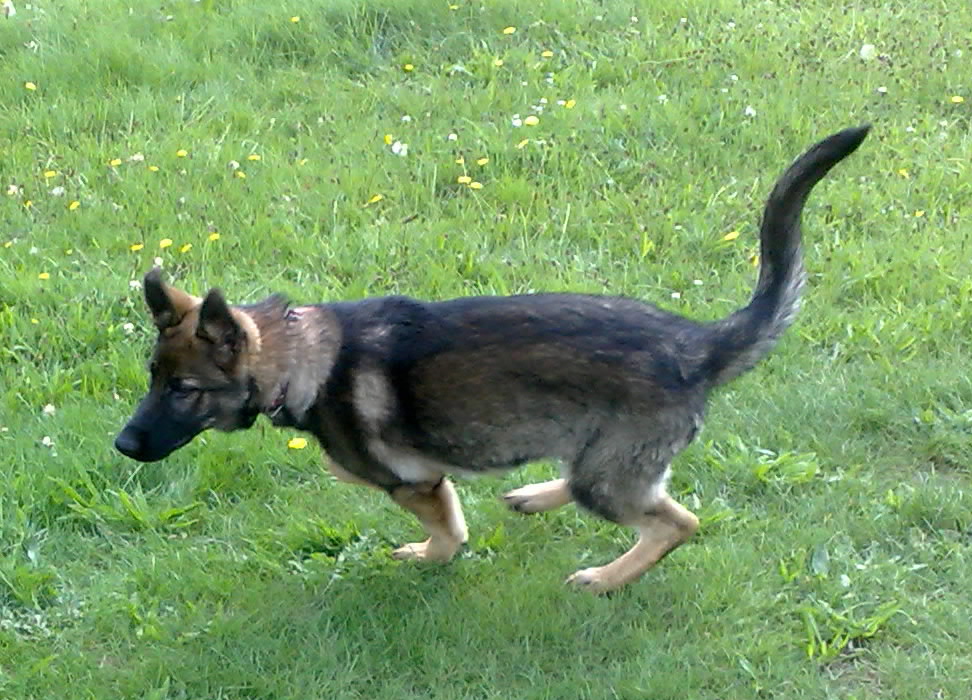 29.8.2010-.zarra-007
