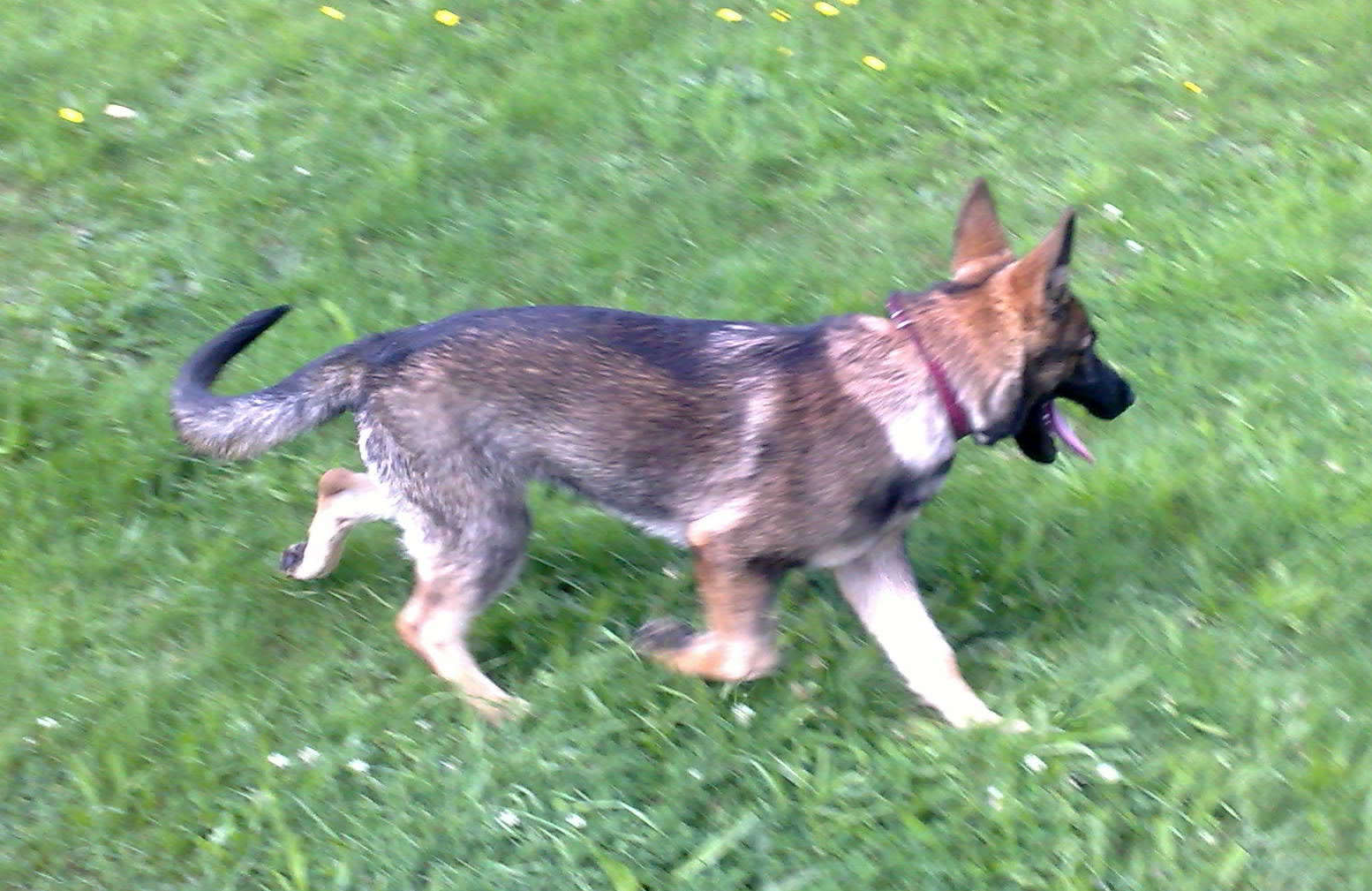 29.8.2010-.zarra-011